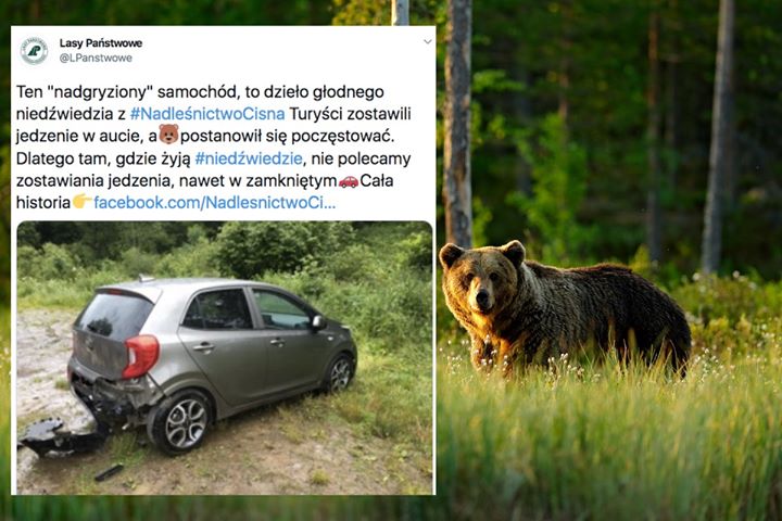 Nie zostawiajcie jedzenia w samochodzie⚠Chyba, że chcecie zgłosić ubezpieczycielowi, że niedźwiedź…