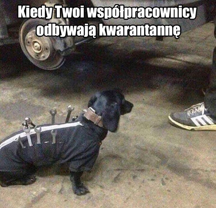 Jak radzicie sobie w takiej sytuacji❓#ProfiAuto #ProfiAutoSerwis #pomocnik #warsztat #serwis