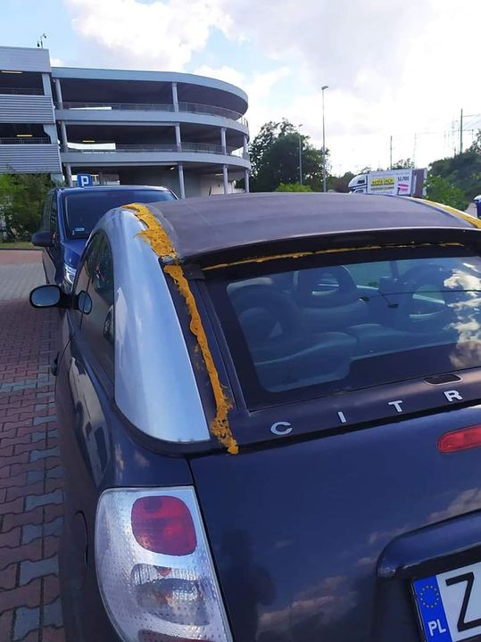 Citroën C3 Pluriel to tak dziwne cabrio, że aby cieszyć się z nieba nad głową trzeba było…
